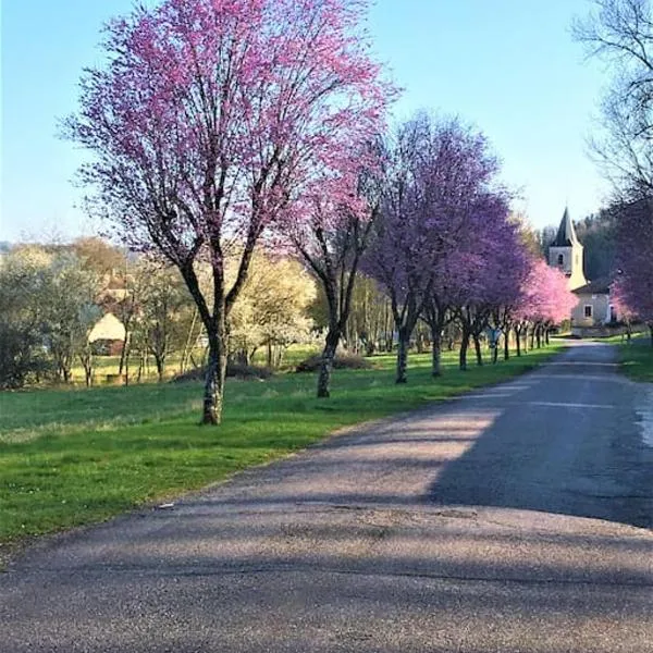 La MUSARDIERE Gîte paisible à la campagne，位于讷沙托的酒店