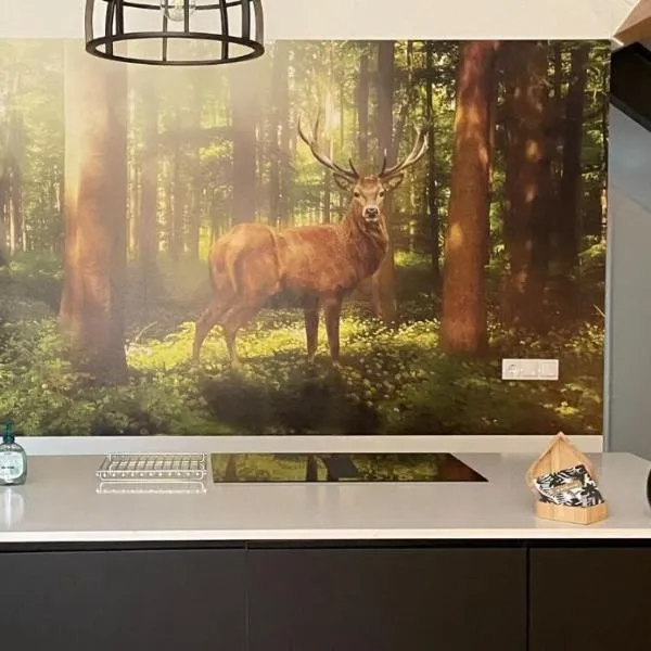 Boerderij appartement De Casterie，位于Bornerbroek的酒店