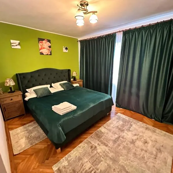 Stella's cozy home，位于Lacu Turcului的酒店