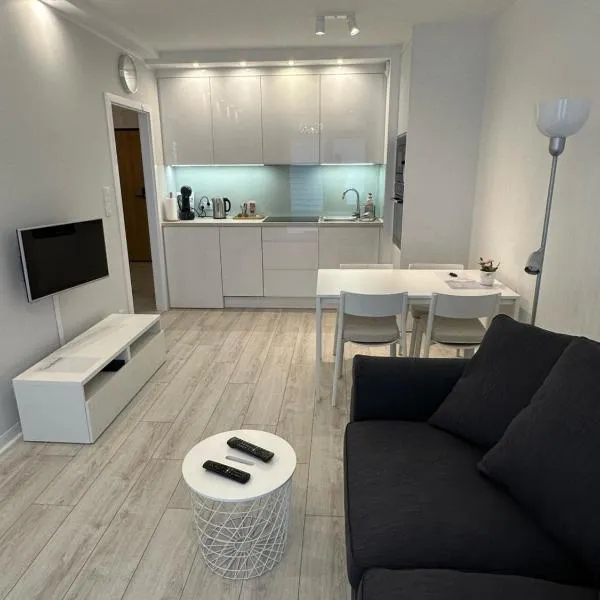 Flat4You IV，位于波兹南的酒店