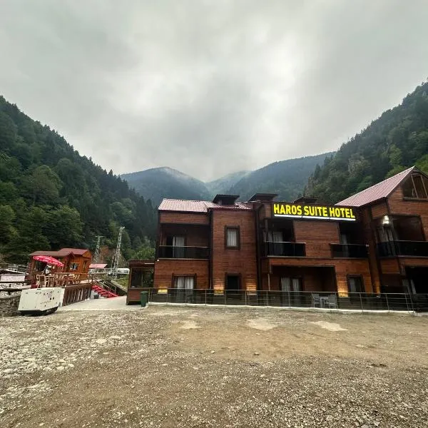 Haros Suite Hotel，位于Yaylaönü的酒店