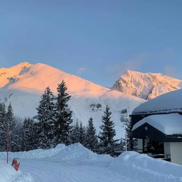 Appartement Manigod/La clusaz，位于马尼戈的酒店