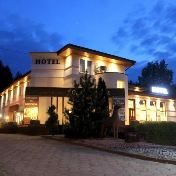 Hotel Pod Jeleniem，位于Cierplewo的酒店