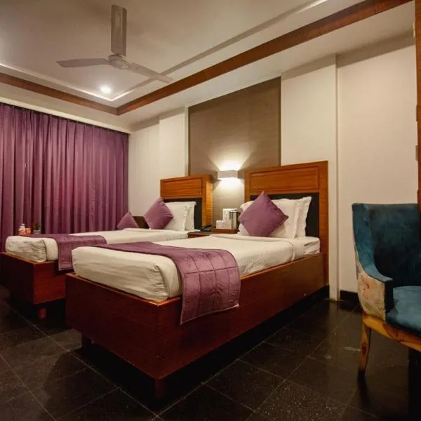 Hotel Punjab Palace，位于赖布尔的酒店