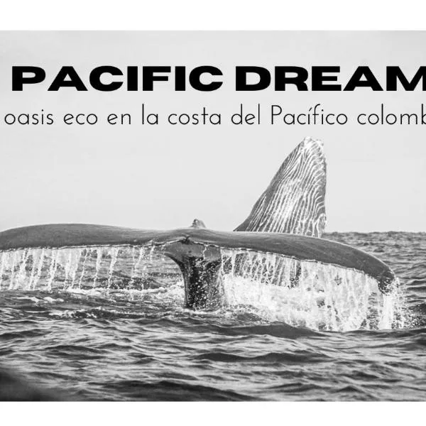 Pacific Dream Hostal，位于La Barra的酒店