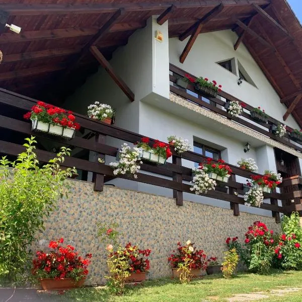 Casa Maria，位于Lunca Ilvei的酒店