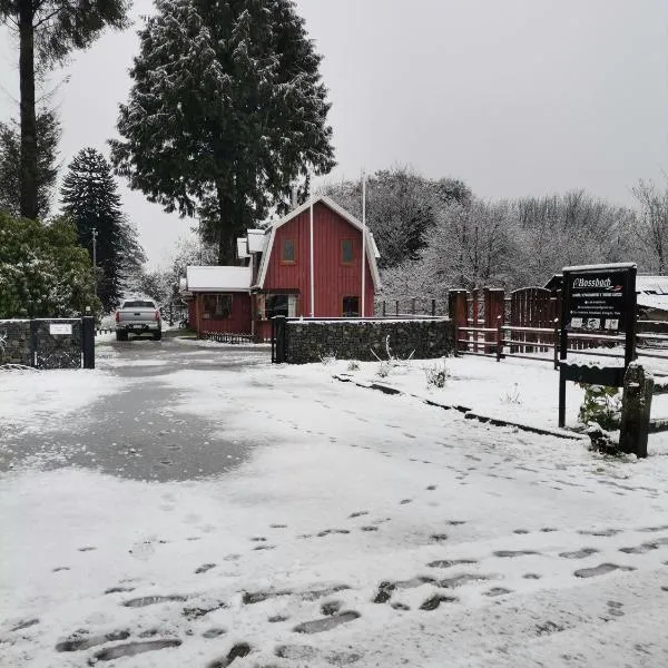 Cabaña Rossbach Puyuhuapi，位于普尤瓦比港的酒店