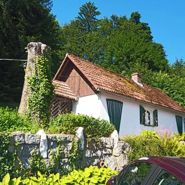 Domek Sosnówka，位于索斯诺夫卡的酒店
