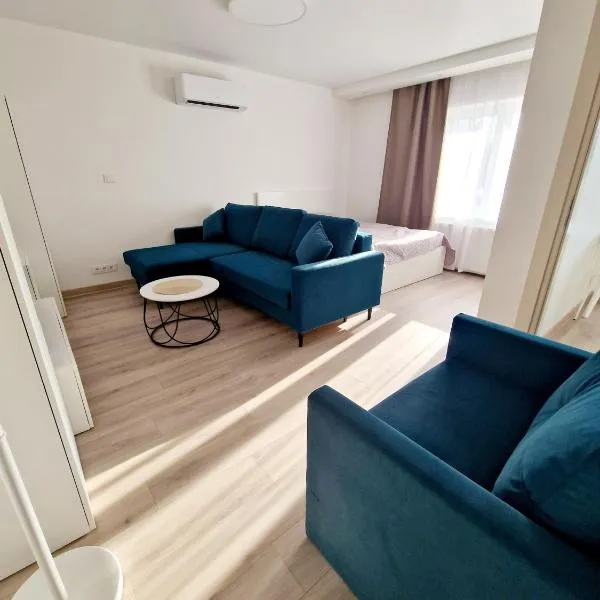 Apartments in Lazdijai，位于拉兹迪亚伊的酒店