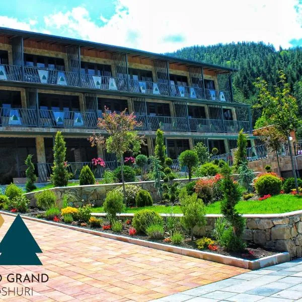 Solo Grand Boshuri Hotel Wellness Resort，位于Qvemo Boshuri的酒店