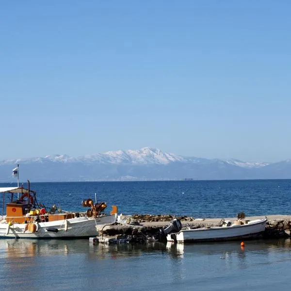 Entire cottage near the beach in Nimporio, Euboea，位于马尔马里的酒店