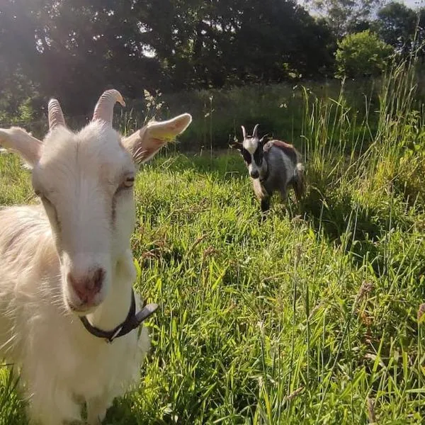 Gîte de la Petite Ferme Bretonne，位于卢阿尔加的酒店