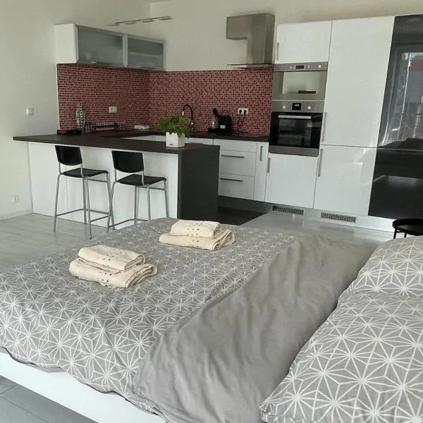 RUMAKO apartments，位于布拉格的酒店