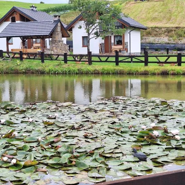 Domki Nad Liliowym Stawem，位于科曼恰的酒店