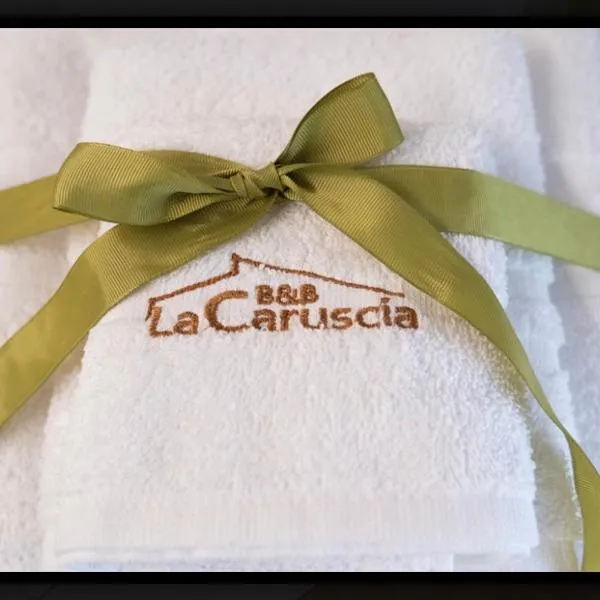 B&B La Caruscia，位于Schiavi di Abruzzo的酒店