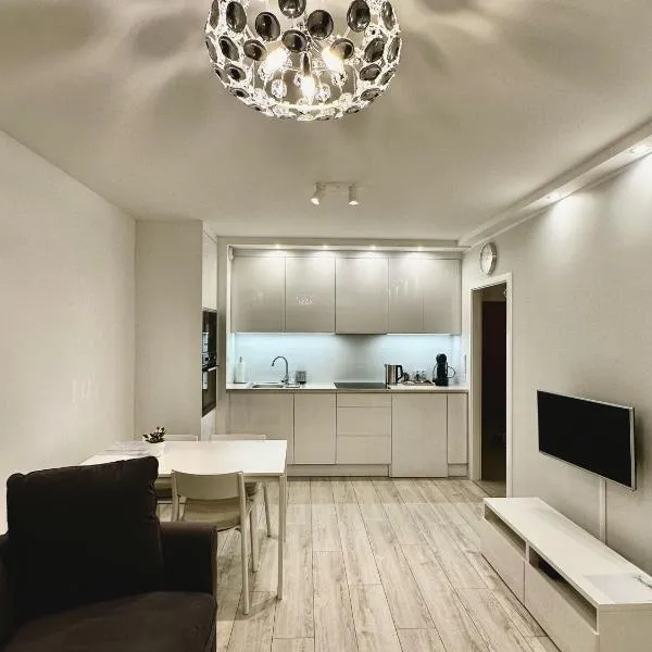 Flat4You III，位于波兹南的酒店