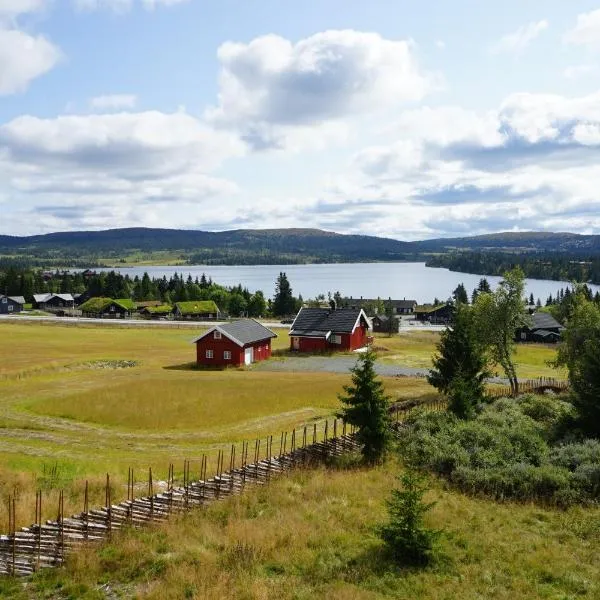 Beautiful penthouse with panoramic view at Sjusjøen，位于Ringsaker的酒店