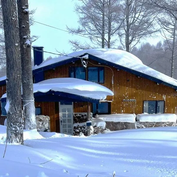 Japan Snowsports，位于饭山市的酒店