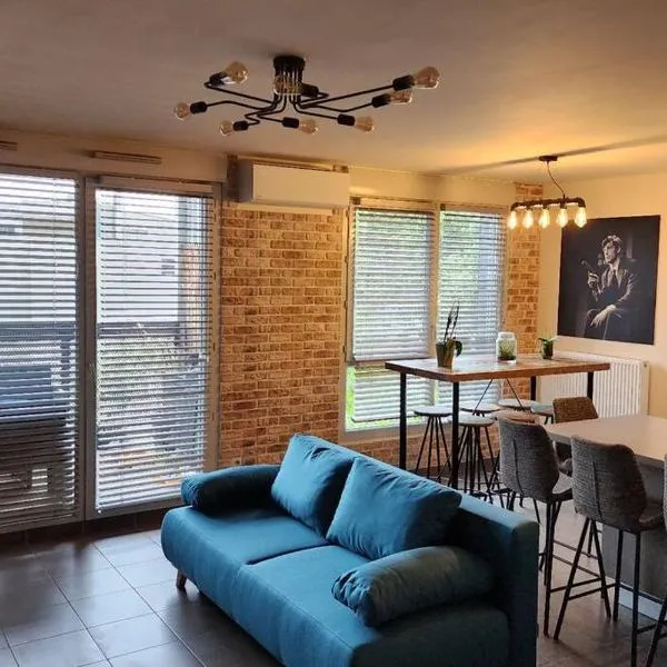 Appartement Voie Lactée Lyon，位于里昂的酒店