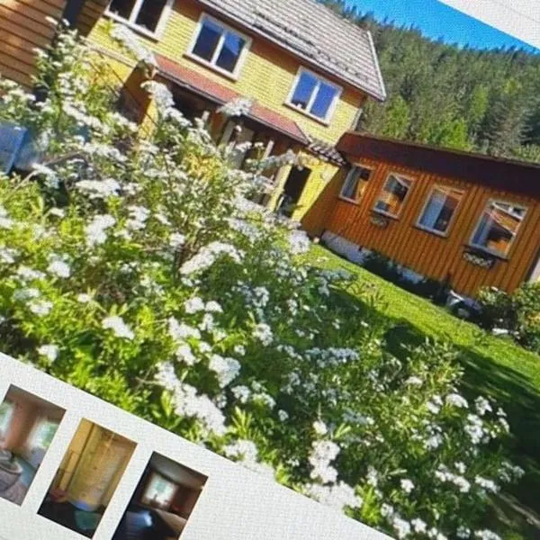 Tangen gjestehus The place to stay in Telemark，位于Brosdal的酒店