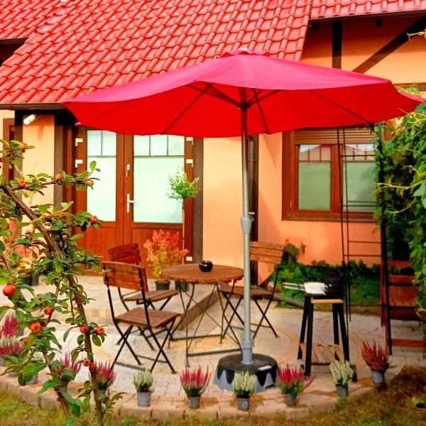 Cozy apartament "APPLES" for travellers, BBQ garden at private House，位于Cigacice的酒店