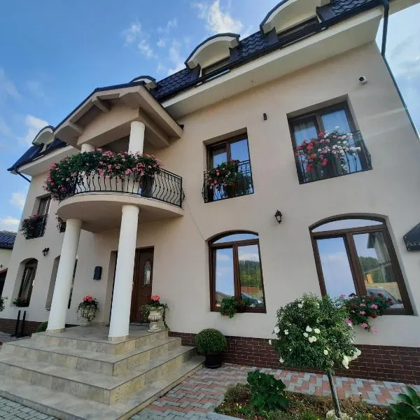 AristoCat Hotels Rasnov，位于莱斯诺夫的酒店