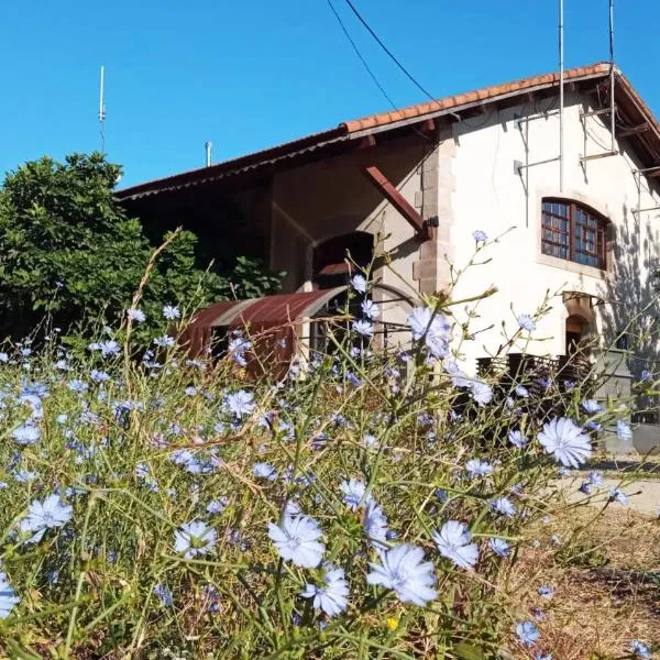 Albergue & Cafetería Vía de la Plata Hervás，位于卡米诺新村的酒店