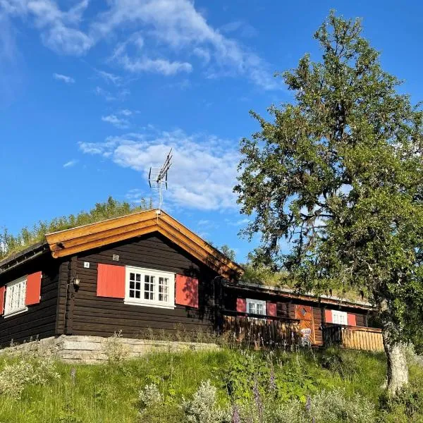 Elveseter - log cabin with an amazing view，位于Gålå的酒店