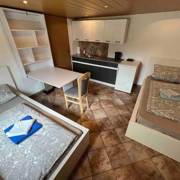 Gemütliche 1-Zimmer-Wohnung，位于佩格尼茨的酒店