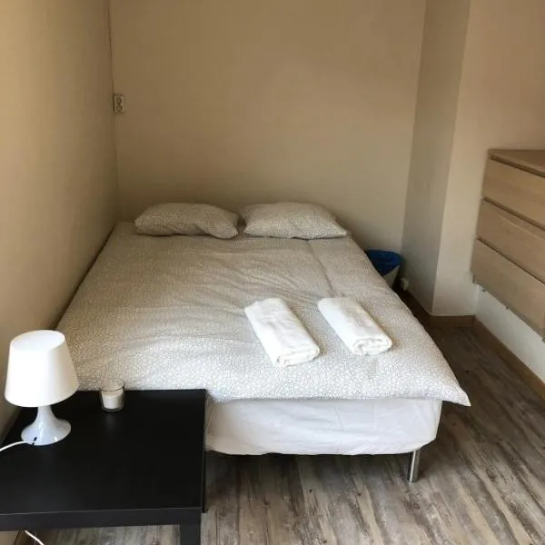 Guesthouse - Oslo Centrum，位于罗伦斯固克的酒店