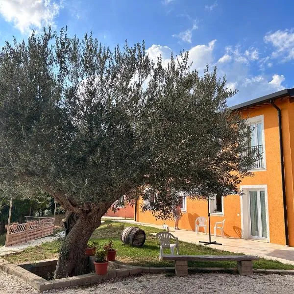 Agriturismo Collamato，位于Isola的酒店