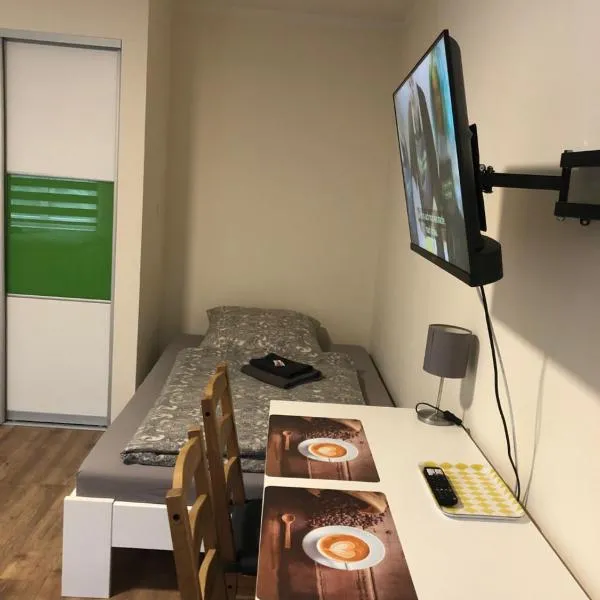 GottwaldHaus-Freiberg-Apartment / B，位于弗赖贝格的酒店