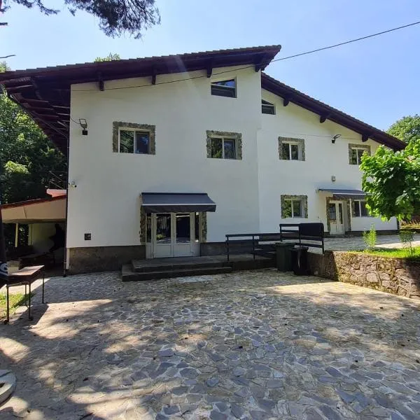 Pensiunea Puiu，位于莫罗埃尼的酒店