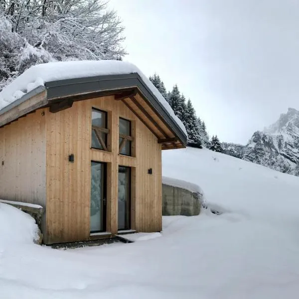 Chalet*** au pied d'une prairie face à la montagne，位于西克斯特的酒店