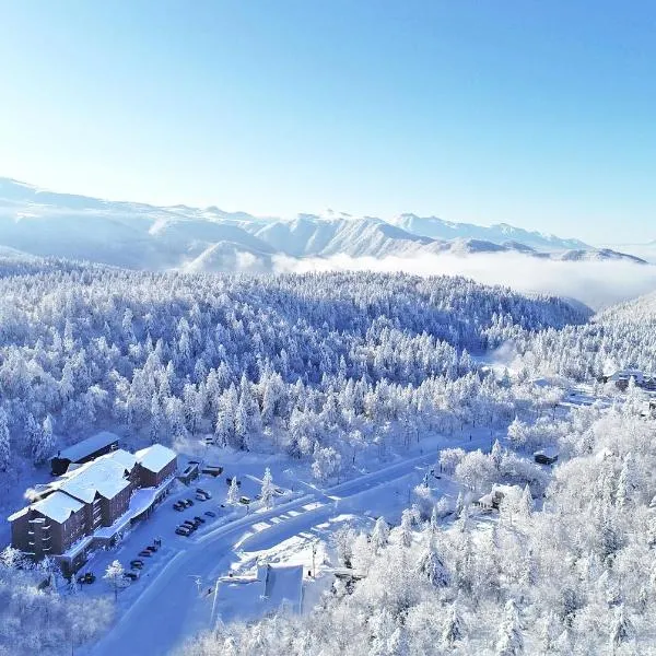 Higashikawa Asahidake Onsen Hotel Bear Monte，位于东川町的酒店