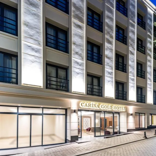 Carina Gold Hotel，位于伊斯坦布尔的酒店