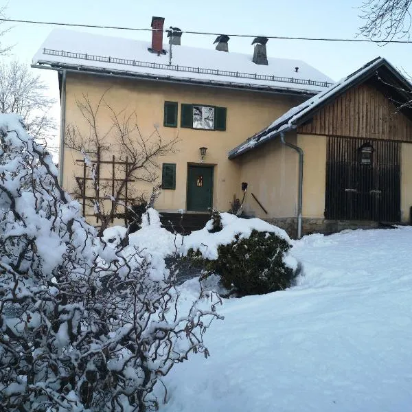 Ferienwohnung im alten Zollhaus，位于德拉什的酒店