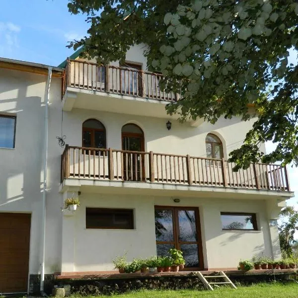 Belegania Villa，位于Călineşti的酒店