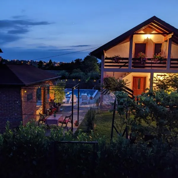 Wisteria Lodge，位于Derventa的酒店