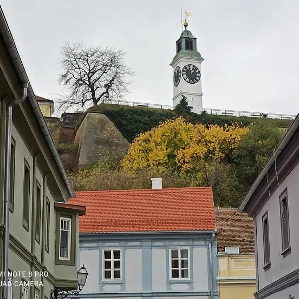 Zlatica Petrovaradin，位于彼得罗瓦拉丁的酒店