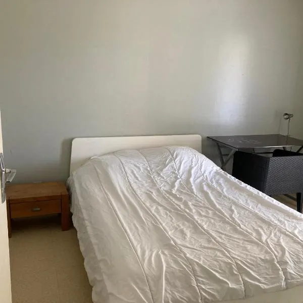 Chambre chez l'habitant à Lyon Centre，位于里昂的酒店