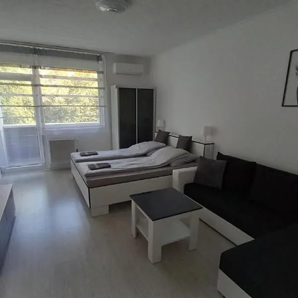 Grey Harmony Apartman，位于德布勒森的酒店