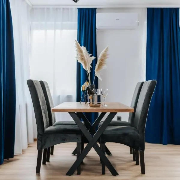 Modern Lux Apartment 2，位于布尔奇科的酒店