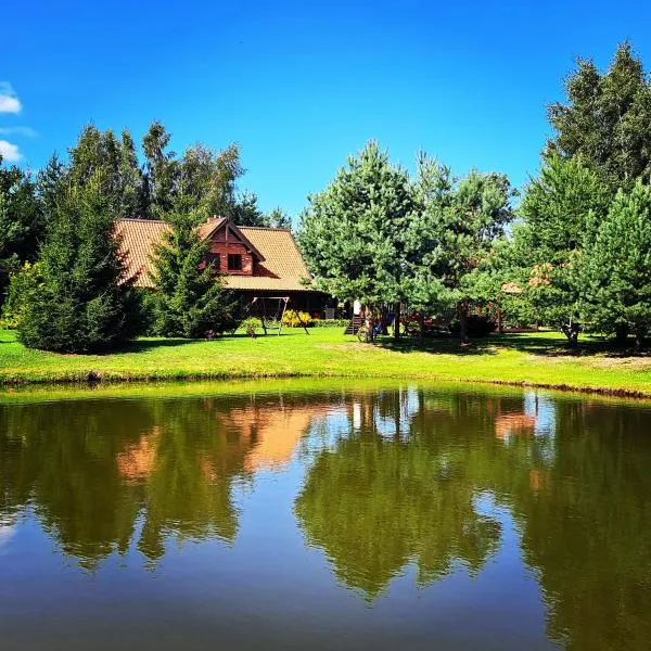 Vasilevičių Sodyba - Entire Homestead with Sauna，位于Svencelė的酒店