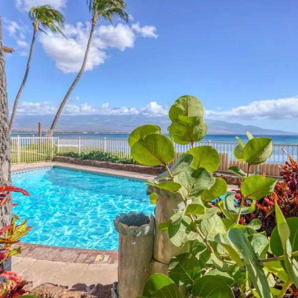 Suite Maui Paradise Condo，位于怀卢库的酒店