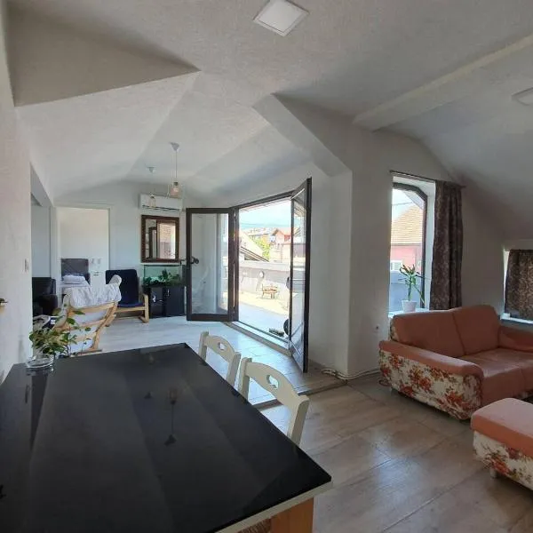Apartman Gradina，位于多博伊的酒店