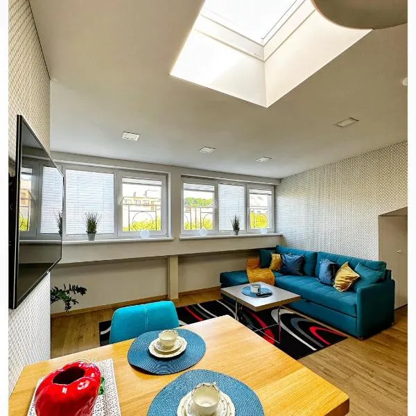 Apartaments in the city centre，位于考纳斯的酒店