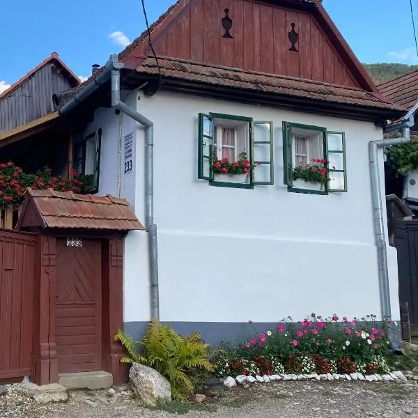 Casa Kelemen Irén，位于Sălciua de Jos的酒店