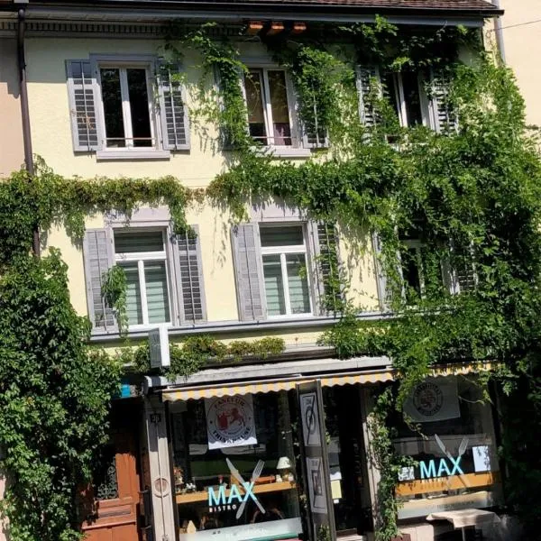 B&B Winterthur，位于温特图尔的酒店