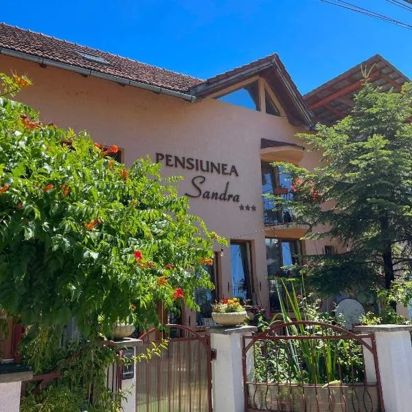 Pensiunea Sandra，位于舒加塔格盐矿镇的酒店